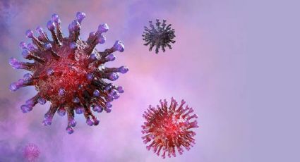 Virus de Marburgo: la fiebre casi tan mortal como el ébola que asusta al mundo; esto se sabe