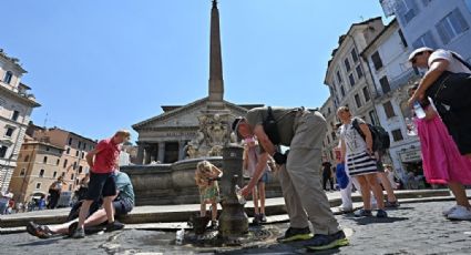 Ola de calor en Europa: Temperaturas de 40ºC e incendios forestales han provocado más de mil muertos