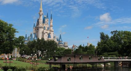 Se arma pelea campal en Disney World entre familias que hacían fila; un hospitalizado: VIDEO