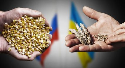 Rusia vs Ucrania: El trigo regresa a su precio normal antes de la guerra