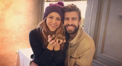 Shakira y Piqué: filtran el mensaje que le mandó el futbolista tras confirmar su separación