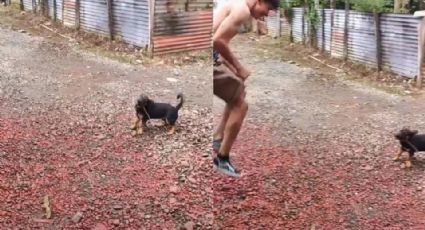 ¡Lomito acometido! Perrito ayuda a su dueño a saltar la cuerda y se vuelve viral: VIDEO