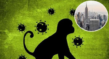 ¡Alerta! Nueva York declara estado de emergencia por casos de viruela del mono