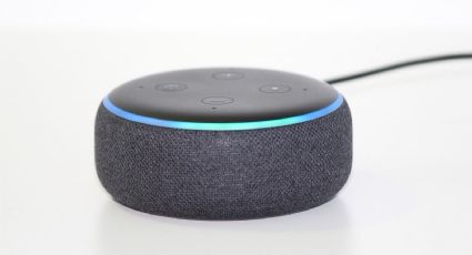 Arriesgar a niños, hablar con fantasmas y presenciar un asesinato: los casos más extraños de Alexa