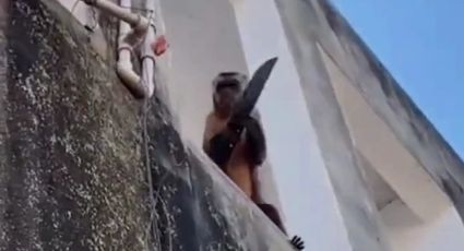 Mono 'ladrón' se vuelve viral tras ser captado con cuchillo metiéndose a robar a las casas: VIDEO