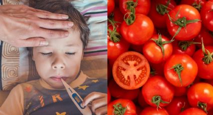 ¿Qué es la Gripe del tomate? Síntomas y origen del nuevo virus que afecta a niños en la India