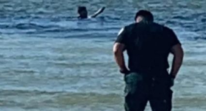 Extraño caso: mujer salta al mar desde un bote en Florida y sufre una "parálisis inmediata"