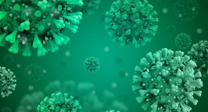 Henipavirus: China detecta 35 casos de rara enfermedad que se transmite de animales a humanos