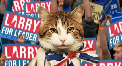 Larry, el adorable gato de Boris Johnson se anuncia como candidato a Primer Ministro y las redes lo apoyan