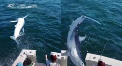 ¡Qué miedo! Tiburón salta del agua y cae en barco pesquero: VIDEO