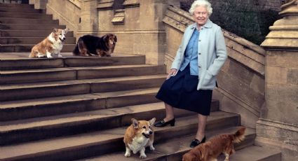 Isabel II: La venta de la raza de perritos corgi rompe RÉCORD; ¿cuánto cuestan?