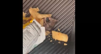 ¡Asqueroso! Mujer encuentra ratón muerto dentro de una bolsa de papas fritas: VIDEO
