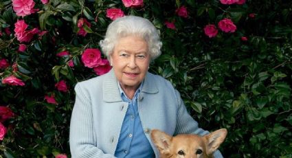 Qué pasará con los 30 perros corgi de la Reina Isabel