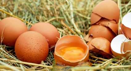 Por la escasez, ahora hay contrabando de huevo en Estados Unidos