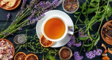 Los mejores tés y cómo sacarles el máximo provecho