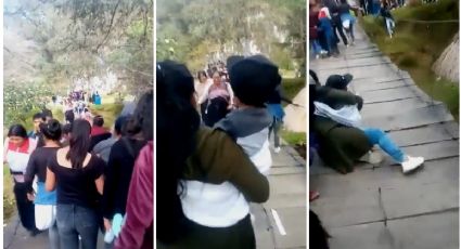 Se desploma puente colgante con turistas en San Cristóbal de las Casas, Chiapas | VIDEO