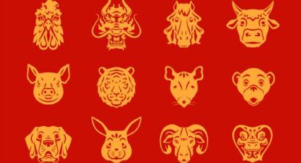 Horóscopo chino: Estos son los 4 signos zodiacales que más DINERO atraen a partir del 11 de octubre