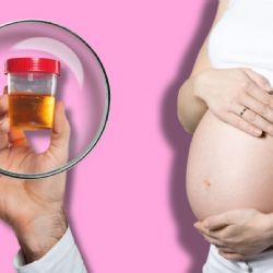 Cómo saber si estás embarazada con la prueba casera del CLORO
