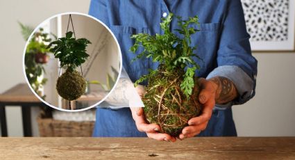 Cómo hacer una KOKEDAMA, la técnica japonesa de crear tus propias macetas vivas para el interior de tu casa