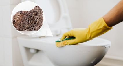 Cómo ELIMINAR el sarro del inodoro correctamente con piedra pómez