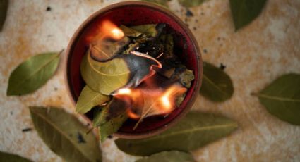 Las poderosas razones por las que necesitas quemar hojas de laurel antes de dormir
