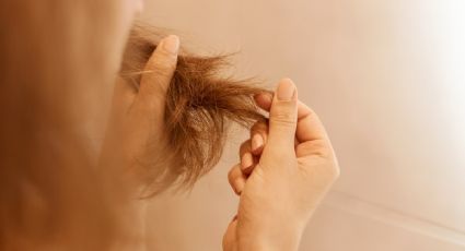 5 ingredientes de cocina que SÍ funcionan para ENGROSAR el cabello delgado, fino y escaso