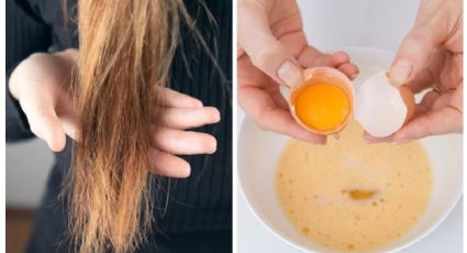 Remedio casero con huevo para hidratar el cabello seco y maltratado en 30 MINUTOS