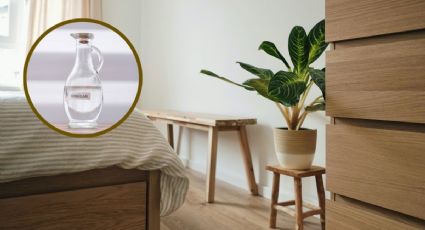 Cómo usar VINAGRE para devolverle el brillo a tus muebles de madera sin dañarlos