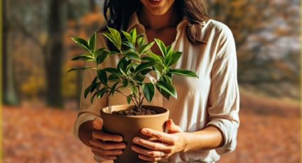 Estas son las 5 plantas que sí FLORECEN en el otoño