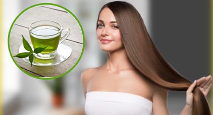 Cómo usar té verde para que tu pelo crezca sano y fuerte en menos de 1 semana