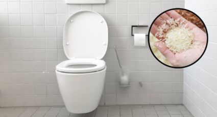Así puedes ELIMINAR la humedad y los malos olores de tu baño con arroz