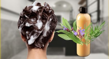 Prepara este shampoo natural con romero y salvia para ELIMINAR las canas mientras te bañas