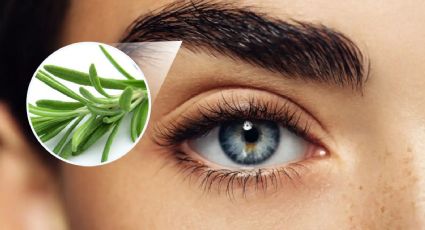 2 remedios caseros para OSCURECER tus cejas y que parezcan más pobladas