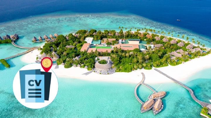Millonario ofrece EMPLEO con sueldo de 15,000 dólares al mes para cuidar su exótica isla privada