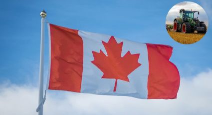 Canadá lanza EMPLEO para personas sin estudios con SUELDO de 17 dólares por hora | REQUISITOS