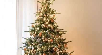 Trucos que NO fallan para hacer que tu árbol de Navidad natural dure más tiempo
