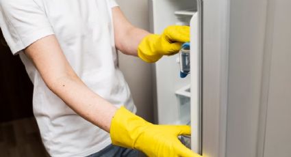 ¿Cómo limpiar el refrigerador y eliminar los malos olores? Prueba estos 3 remedios caseros que NO fallan