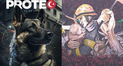 Proteo: despiden con emotivo homenaje al perrito rescatista que murió en Turquía | VIDEO