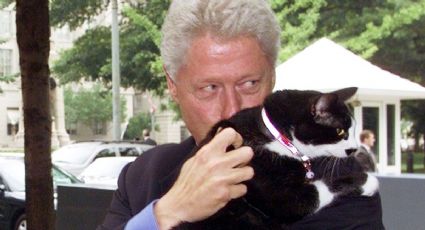 Día de Gato 2023: Socks, la mascota de Bill Clinton que tuvo su propio videojuego