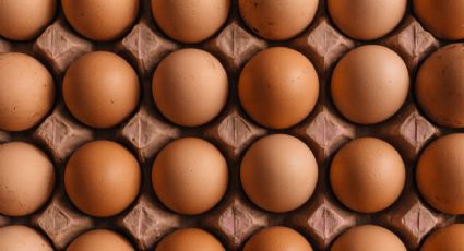 Estadounidenses cruzan a México para comprar huevo ante incremento de precio y escasez