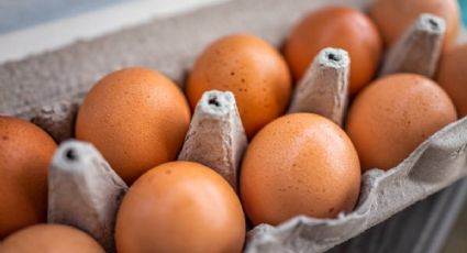 Además del huevo, estos son alimentos y productos que más se ENCARECIERON en la primera quincena de febrero | LISTA