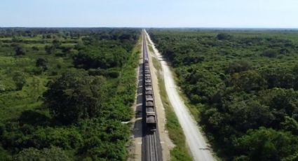 Ya hay FECHA para el inicio de actividades del Tren Maya