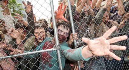 Cinco películas para celebrar el Día del Orgullo Zombie