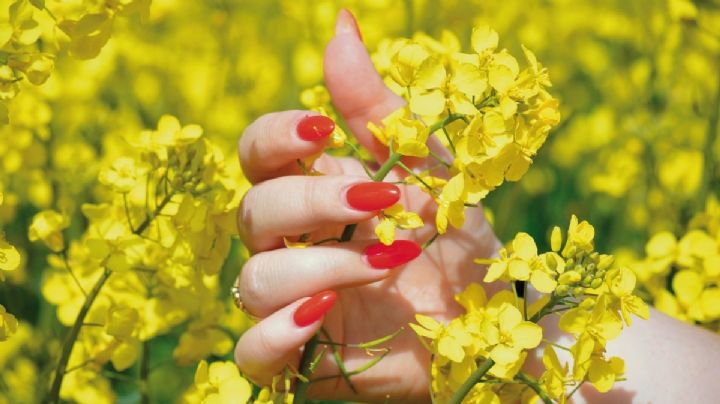Nail Art, la tendencia en uñas que estará de moda en la Primavera de 2023