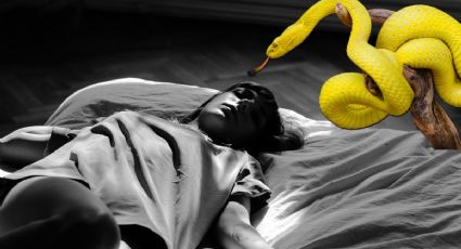 ¿Qué significado tiene soñar con una serpiente grande?