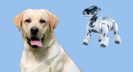 Así es el perro robótico que usará la policía de Los Ángeles