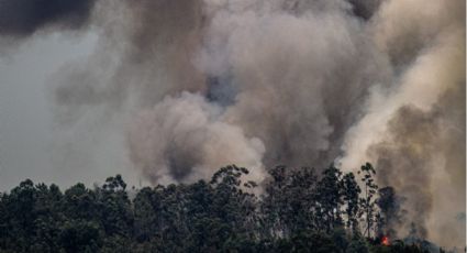 Incendios en Canadá causan mala calidad del aire en Nueva York