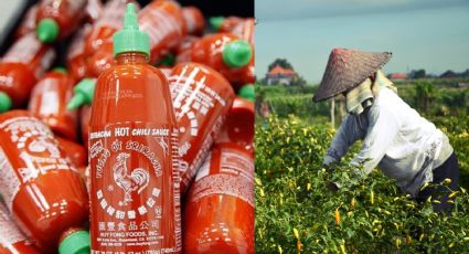 ¿Escasez de salsa Sriracha? Precio se dispara y está por las nubes