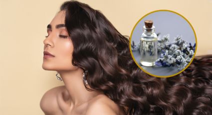 Con esta planta tu cabello crecerá al doble y te ayuda a prevenir la caída del cabello