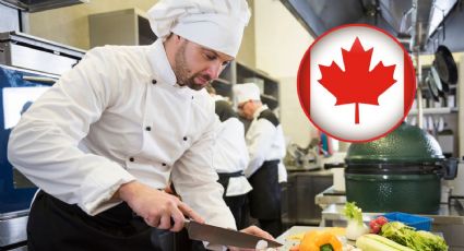 Canadá lanza EMPLEO para COCINEROS con sueldo de 28 dólares por hora | REQUISITOS